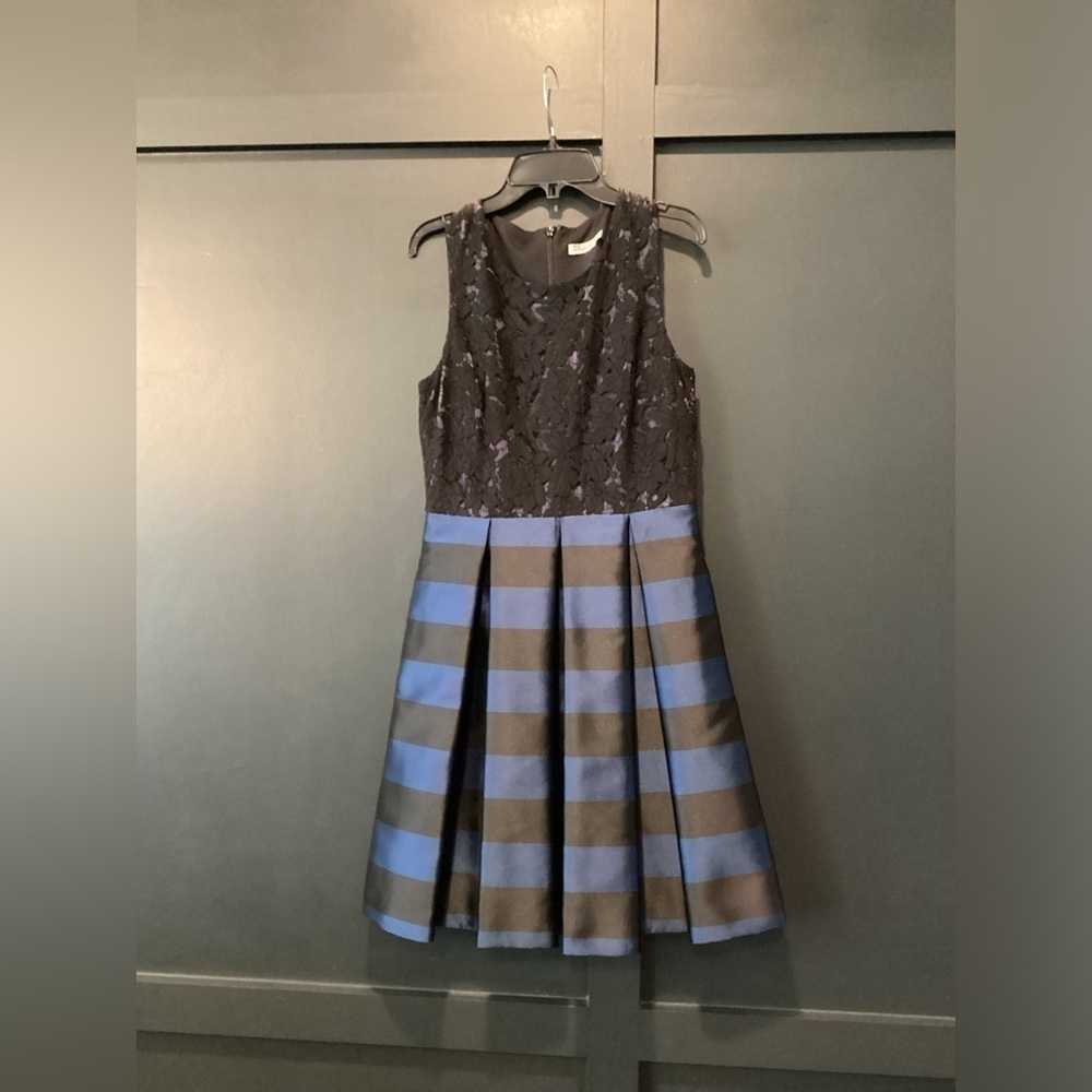 Eliza J Missy Sleeveless A Line black blue striped lace pleated mini dress 4